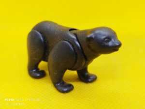 Cría de oso negro, osezno